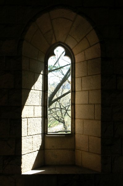 dsc_0056a.jpg