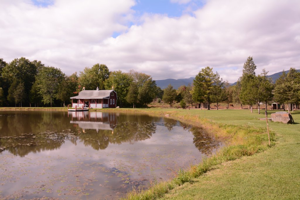 thepondhouse.jpg