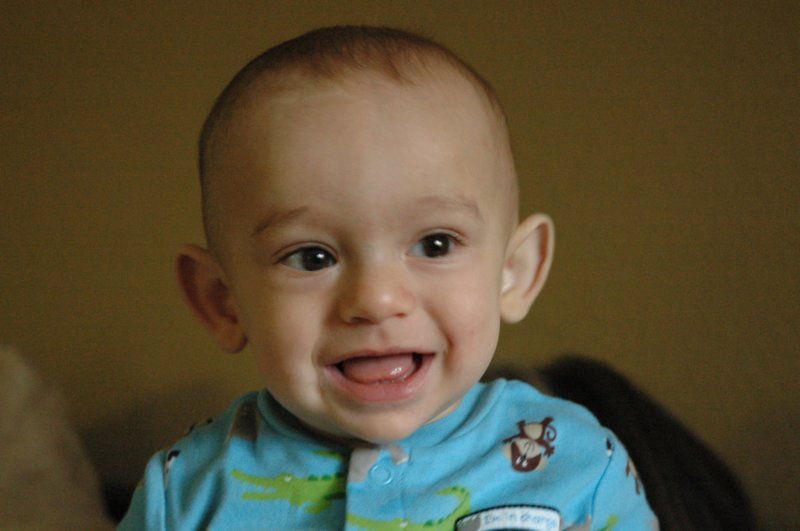 dsc_0010a.jpg