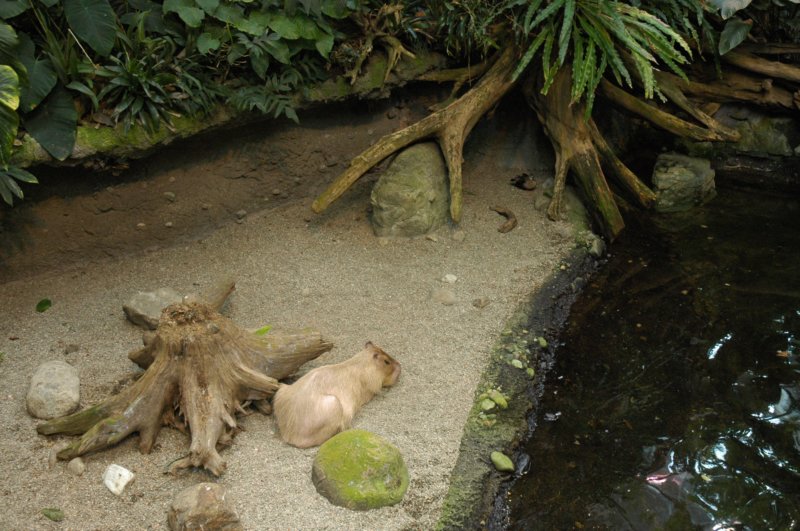 dsc_0040.jpg