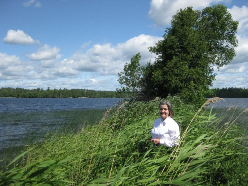 grassypoint.jpg