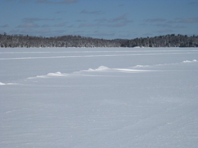 thelake3.jpg